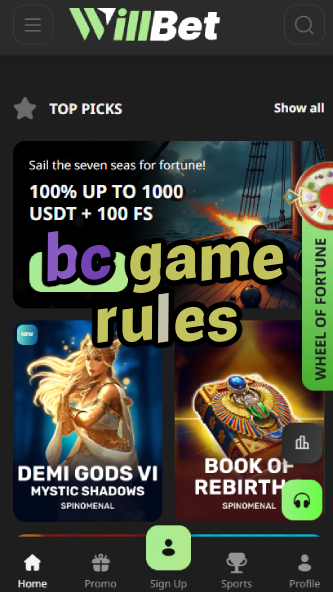 BC Game Rules - Terms & Conditions-vz72fvrf.com