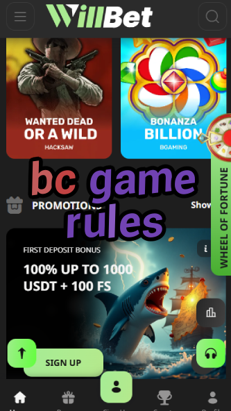 BC Game Rules - Terms & Conditions-vz72fvrf.com