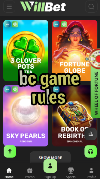 BC Game Rules - Terms & Conditions-vz72fvrf.com